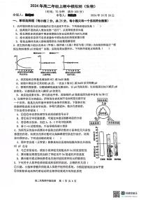 江苏省南京市玄武区南京市第十三中学2024-2025学年高二上学期10月期中生物试题