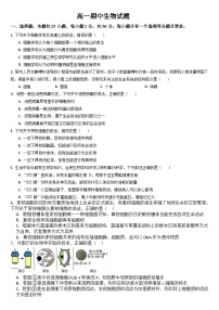 吉林省通化市梅河口市梅河口市第五中学2024-2025学年高一上学期10月期中生物试题