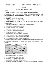 河南省2024-2025年金太阳高三上学期10月联考（三）生物学试题（含解析）