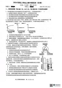 江苏省南京市玄武区南京市第十三中学2024-2025学年高二上学期10月期中生物试题