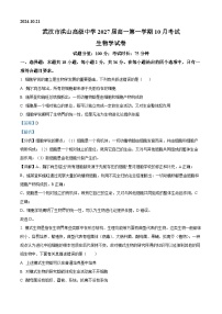 湖北省武汉市洪山高级中学2024-2025学年高一上学期10月考试生物试卷（Word版附解析）