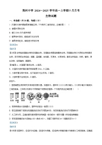 湖北省荆州市荆州中学2024-2025学年高一上学期10月月考生物试卷（Word版附解析）