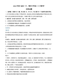 湖北省宜昌市第一中学、荆州中学2024-2025学年高二上学期10月联考生物试卷（Word版附解析）