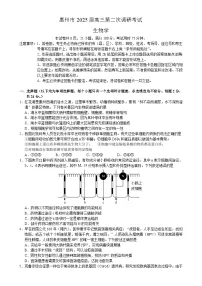 广东省惠州市2025届高三第二次调研考试生物科试题 （附参考答案）