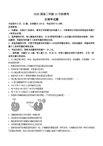 河南省安阳市林州市晋豫名校联盟2024-2025学年高三上学期10月月考生物试题