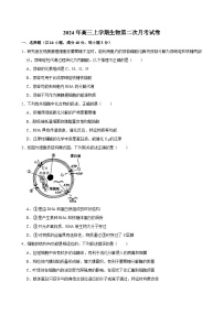 湖南省岳阳市临湘市2024-2025学年高三上学期10月月考生物试题