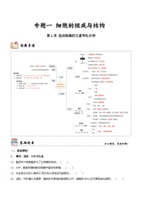 新高考生物二轮复习讲练测第1讲 组成细胞的元素和化合物（讲练）（2份，原卷版+解析版）