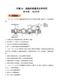 新高考生物一轮复习小题多练第09练 光合作用（2份，原卷版+解析版）