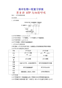 新高考生物一轮复习学案：第8讲　ATP与细胞呼吸