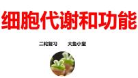 新高考生物二轮复习专题突破课件 03 细胞代谢和功能（含答案）