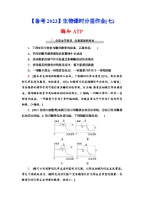 新高考生物一轮复习课时分层作业7　酶和ATP(含解析）