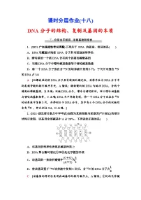 新高考生物一轮复习课时分层作业18　DNA分子的结构、复制及基因的本质(含解析）