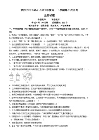 湖北省武汉市第六中学2024-2025学年高一上学期第2次月考生物试卷