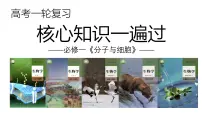 新高考生物一轮复习考点课件第02讲 细胞中的元素与化合物（含解析）
