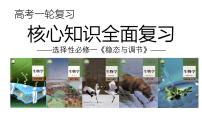 新高考生物一轮复习考点课件第37讲 激素与内分泌系统、激素调节的过程（含解析）
