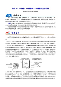 新高考生物二轮复习重难点专练热点02 C3植物、C4植物和CAM植物的光合作用（原卷版+解析版）