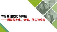 新高考生物二轮复习热点专题专项突破课件 专题四+细胞的分化、衰老、死亡和癌变（含答案）