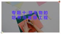 新高考生物二轮复习热点专题专项突破课件 专题一0 微生物的培养与发酵工程（含答案）