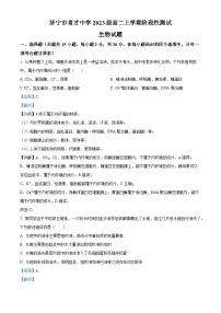 山东省济宁市育才中学2024-2025学年高二上学期10月阶段性测试生物试题（Word版附解析）