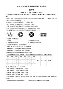 云南省文山壮族苗族自治州麻栗坡县2024-2025学年高一上学期10月期中生物试题(无答案)