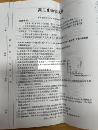 青海金太阳2025届高三上学期10月联考生物试题