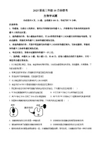 河南省安阳市林州市晋豫名校联盟2024-2025学年高三上学期10月月考生物试题（Word版附答案）