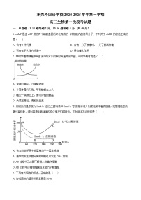 广东省东莞市东莞外国语学校2024-2025学年高三上学期10月月考生物试题（原卷及解析版）