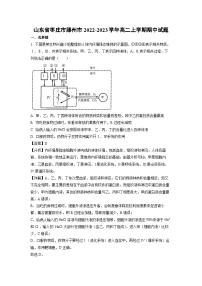 山东省枣庄市滕州市2022-2023学年高二上学期期中试题生物（解析版）