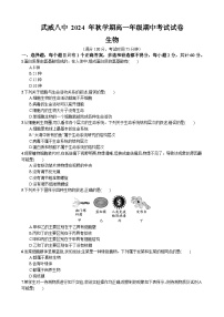 甘肃省武威市凉州区武威第八中学2024-2025学年高一上学期10月期中考试生物试题