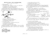 四川省成都市树德中学2025届高三上学期10月月考生物试题 扫描版含答案