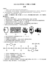 河南省许昌高级中学2024-2025学年高一上学期10月月考生物试题（Word版附解析）