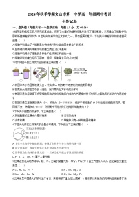 云南省文山壮族苗族自治州文山市第一中学2024-2025学年高一上学期10月期中考试生物试题(无答案)