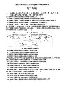 广东省汕头市潮阳第一中学2024-2025学年高二上学期10月期中生物试题