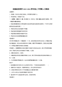 河南省洛阳市2023-2024学年高二下学期6月期末生物试卷（解析版）