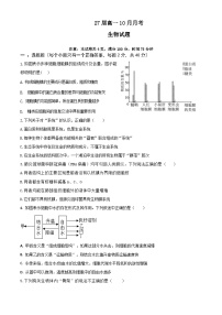 四川省眉山市仁寿县第一中学校（北校区）2024-2025学年高一上学期10月月考生物试题