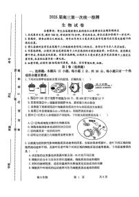 内蒙古自治区赤峰市松山区2024-2025学年高三上学期10月多校联考生物试题