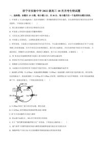 生物丨山东省济宁市实验中学2025届高三上学期10月月考生物试卷及答案