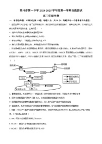 江苏省常州市天宁区常州市第一中学2024-2025学年高三上学期10月月考生物试题（原卷及解析版）