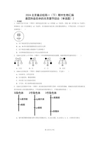 2024北京重点校高一下学期期中真题生物分类汇编：基因和染色体的关系章节综合（单选题）2