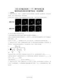 2024北京重点校高一下学期期中真题生物分类汇编：基因和染色体的关系章节综合（非选择题）