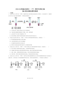 2024北京重点校高一下学期期中真题生物分类汇编：DNA是主要的遗传物质