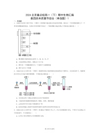 2024北京重点校高一下学期期中真题生物分类汇编：基因的本质章节综合（单选题）1