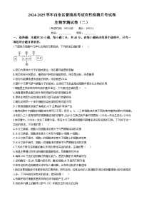 新疆维吾尔自治区部分学校2024-2025学年高三上学期普通高考适应性检测月考生物试卷