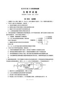 四川省内江市某校2024-2025学年高三上学期10月月考生物试题