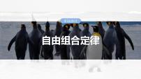2025年高考生物一轮复习课件（新人教版） 第5单元　第26课时　自由组合定律