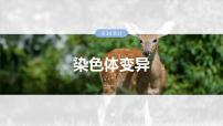 2025年高考生物一轮复习课件（新人教版） 第7单元　第34课时　染色体变异