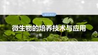 2025年高考生物一轮复习课件（新人教版） 第10单元　第57课时　微生物的培养技术与应用