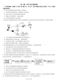 河北省邯郸市三龙育华中学2024-2025学年高二上学期期中考试（第二次月考）生物试题