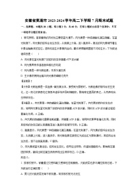 安徽省芜湖市2023-2024学年高二下学期7月期末生物试卷(解析版)