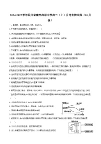 2024-2025学年四川省南充高级中学高二（上）月考生物试卷（10月份）（含答案）